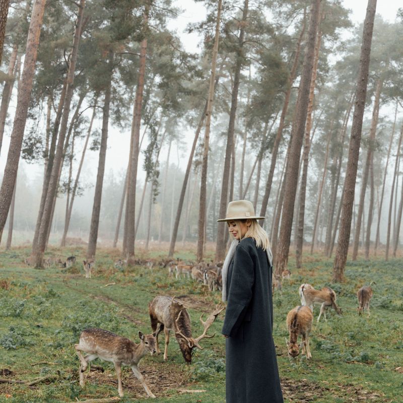 Masha & deer